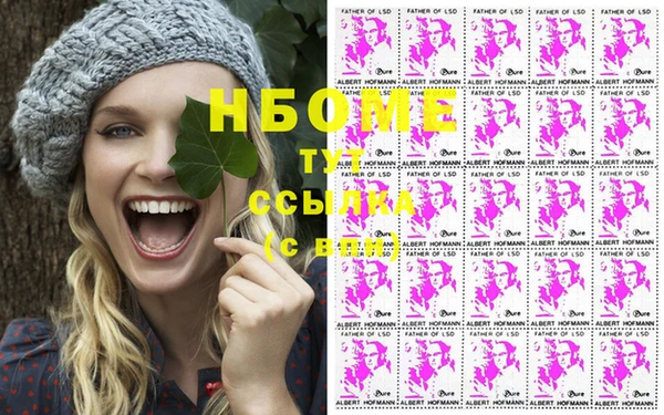 прущие грибы Алзамай