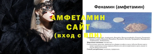 прущие грибы Алзамай