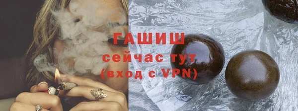 прущие грибы Алзамай