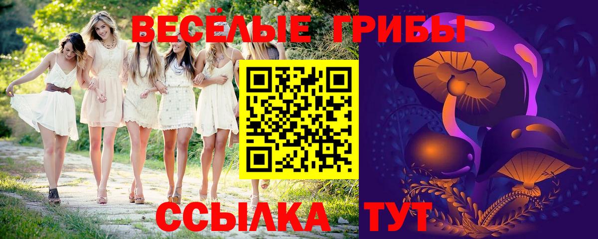 Псилоцибиновые грибы мицелий  Галлюциногенные грибы Cubensis  Джанкой  Вход с VPN 